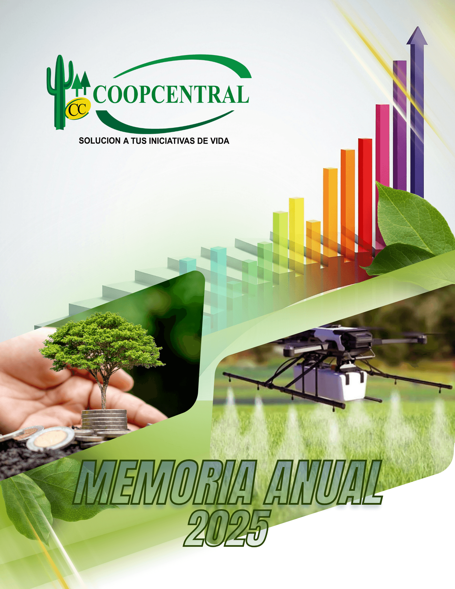 MEMORIA ANUAL 2025